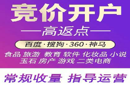 百度竞价推广案例：品牌崛起之路