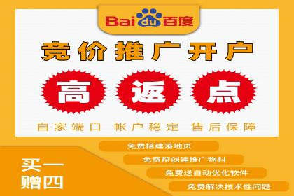 专业sem托管服务案例，揭秘广告投放优化策略